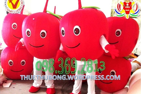 dich-vu-san-xuat-cho-thue-mascot-mau-do-red-mascot-costumes-gia-chi-tu-200k-0983692813 (5)