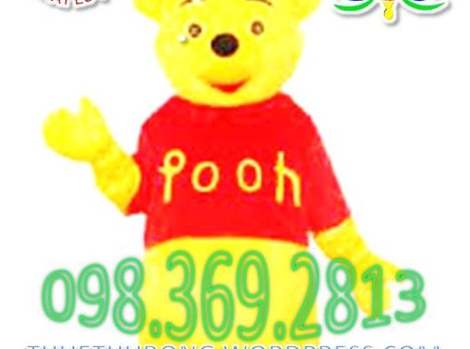 dich-vu-san-xuat-cho-thue-mascot-mau-vang-yellow-mascot-costumes-gia-chi-tu-200k-0983692813 (10)